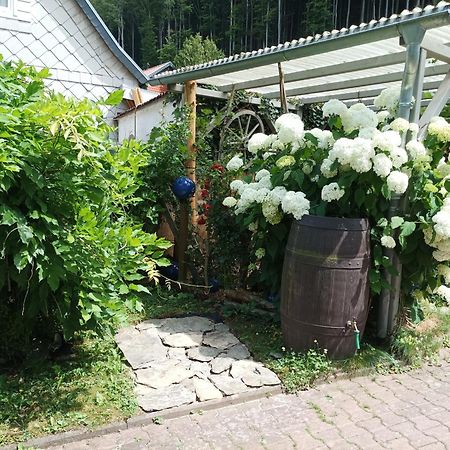 Fewo ,,An Der Kleinen Wilde" Appartement Stolberg i. Harz Buitenkant foto