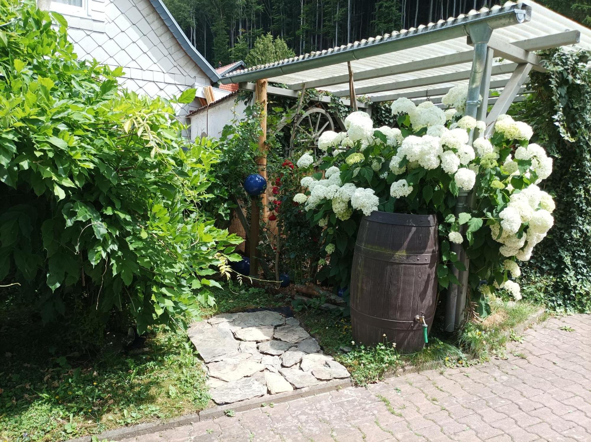 Fewo ,,An Der Kleinen Wilde" Appartement Stolberg i. Harz Buitenkant foto